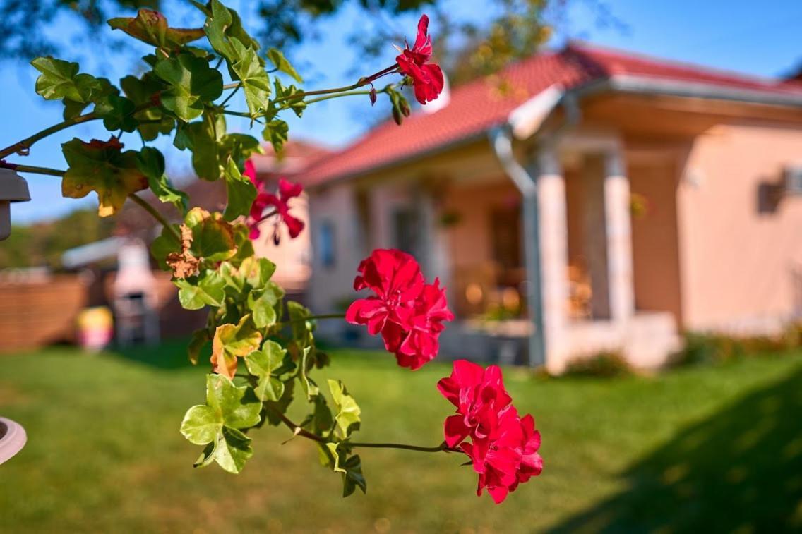 Villa Simida Debnevo Exteriér fotografie